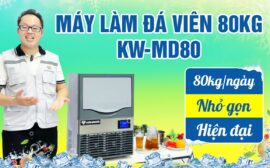 Máy làm đá viên – Giải pháp chủ động nguồn đá sạch cho kinh doanh